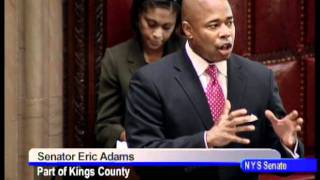 Senator Eric Adams' floor remarks on the persistent misdemeanor offenders