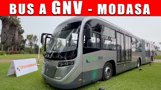 MODASA: Nuevo Bus Articulado a Gas Natural Vehicular GNV para 164 pasajeros