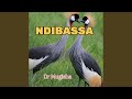 NDIBASSA