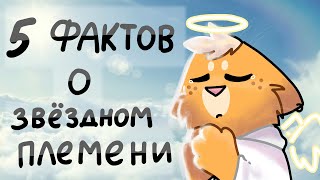 ✨5 Фактов о ЗВЁЗДНОМ ПЛЕМЕНИ ☄️|Коты-воители|