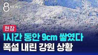 [현장] 강원 30cm 가까운 폭설…내일까지 최고 20cm / SBS 8뉴스