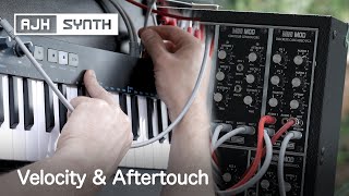 Velocity \u0026 Aftertouch - How to control VCA/LFO/VCF with the MiniMod Eurorack Modular Synth