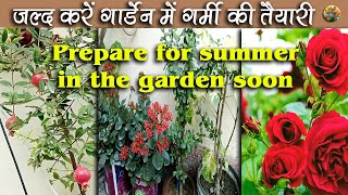 जल्द कर लें गार्डेन में गर्मी की तैयारी #garden #summer