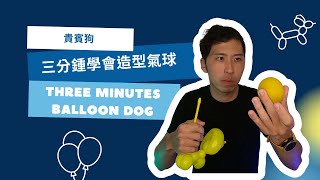 三分鐘學會氣球貴賓狗 how to make balloon dog in three minutes