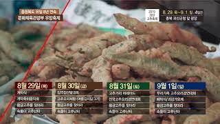 빨간맛 여름이 기대된다! 2019괴산고추축제🌶