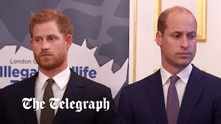 What led to Prince William's 'physical attack' on Prince Harry? | Royal analysis