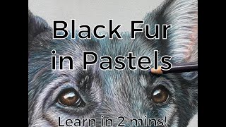 How to draw BLACK FUR in pastels - 2 min step by step tutorial!