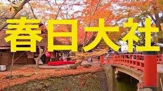 【奈良観光】春日大社の紅葉