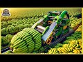 The Most Modern Agriculture Machines That Are At Another Level ,Harvest Banana|Harvest Innovators