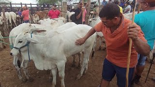 Pesquisa de preços de madrugada em Tabira-PE (29/01/25)