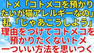 スカッとする話【復讐・因果応報】トメがコトメコを何かと理由をつけて預かりたがらない。コトメコは猫アレルギでトメ宅には猫がいるらしいので私は…【スカッとオーバーフロー】