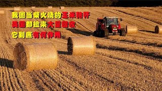 我国当柴火烧的玉米秸秆，美国却捡来大量回收，它到底有何作用？