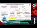 สธ แจงขั้นตอนการรักษาผู้ป่วยโควิด opd และ hi ที่บ้าน ฟังชัดๆถนอมจัดให้ 020365