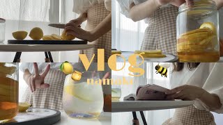 【vlog】はちみつレモンを作って優雅に過ごす大学生の1日🍯🍋・勉強・ご飯