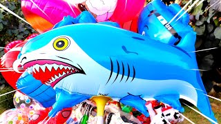 Balita Lucu Beli Balon Karakter Ikan Hiu Balon Tayo Dan Balon Baby Shark Lucu