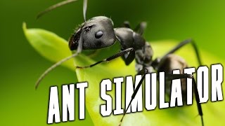 HOW TO BE AN ANT! GiAnt Ant Simulator (Random Crap Friday)