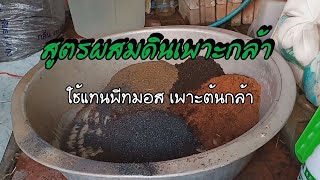 สูตรผสมดินเพาะกล้า ใช้แทนพีทมอส เพาะต้นกล้า