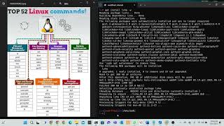 System and Hardware Info in Linux | Exploring the Basics
