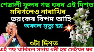 ঘৰৰ এই দিশত শেৱালী ফুলৰ গছ কেতিয়াও নাৰাখিব। অকাল মৃত্যু আহিব। astrology and bastutips