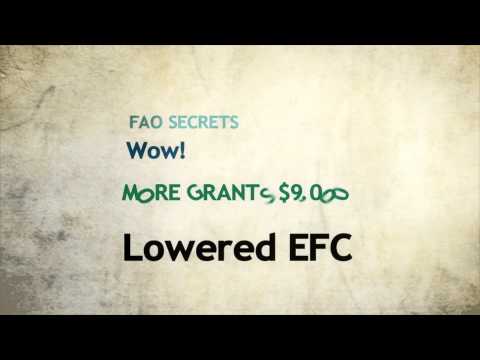 Financial Aid Appeal Letter | Samples on Website Financial Aid Appeal Letter | Samples on Website