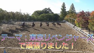 【乗馬】クレイン大阪 第60回カドリール競技会