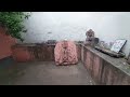 ulta mahadev mandir tarapur ulta aasthan mahadev temple ulta nath mahadev mandir tarapur