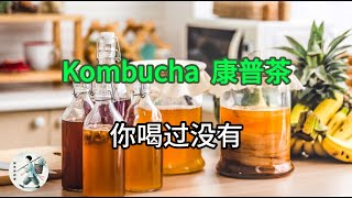 Kombucha -- 康普茶 | 天然有机发酵 | 康普茶的益处 | 康普茶品牌推荐