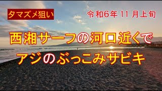 11月上旬の西湘サーフ（酒匂海岸）でアジのぶっこみサビキ釣り