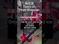 shorts ＃梅花泪tears of plum blossom 原唱：云菲菲 cover with english translation