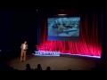 china’s young migrant workers a very different road tristan edmondson tedxyouth@wiss