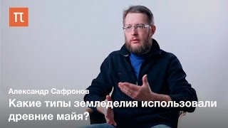 Экономика и земледелие древних майя — Александр Сафронов