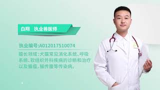 鴿子怎么分公母