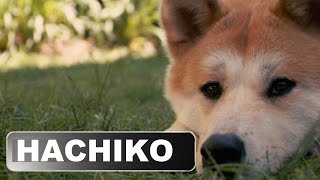 Learn English with Story: Hachiko - The Loyal Friend Animation [Subtitled] HD