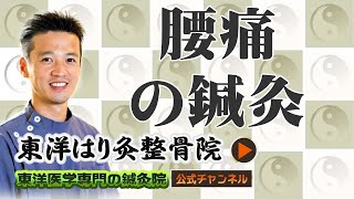 腰痛の鍼灸について | 東洋医学専門の鍼灸院【町田本院・国分寺院】