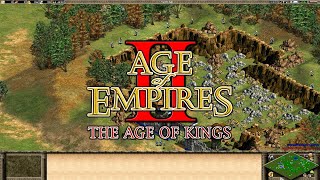 Age of Empires 2: Age of Kings - Ambience  Mining