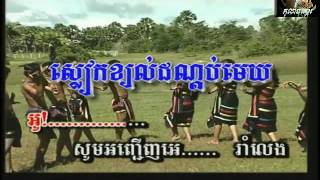 ស្លៀកខ្យល់ដណ្ដប់មេឃ - ភ្លេងសុទ្ធ