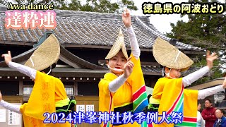 【達粋連・阿波おどり】奉納阿波おどり！「2024津峯神社秋季例大祭」#Awadance#Awaodori#阿波舞#阿波踊り#阿波おどり zv-1