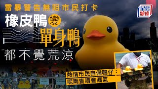 黃鴨︱橡皮鴨「回復單身」都不覺荒涼 熱情市民自備鴨仔：呢兩隻唔會漏氣︱星島頭條港聞︱橡皮鴨︱黃色橡皮鴨︱維港︱霍夫曼︱中環海濱︱漏氣