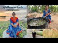 Herbal Hair oil | மூலிகை கூந்தல் எண்ணெய்  | Hair oil to cure hair fall and premature greying