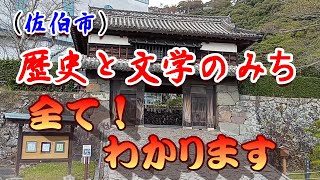 片麻痺　モリちゃん　大分県のいい所紹介！佐伯市　綺麗な街並み武家屋敷と歴史と文学のみち！＃大分　＃佐伯市　＃武家屋敷　＃城　障害者　脳出血　後遺症　装具　湯布院　左麻痺＃castle＃shrine