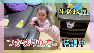 【つかまり立ち】つかまり立ちの練習の様子！生後8ヶ月の赤ちゃん！Practice of catching and standing!