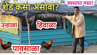 स्वस्तात मस्त शेळीपालन/कुक्कुटपालन शेड. #goat #शेळीपालन #viral