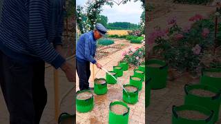 Amazing Reusable Planting Bag #satisfying #shot