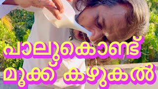 പാൽ നേതി ചെയ്താൽ എപ്പോളും സതോഷം ആയി ഇരിക്കാം | milk neti