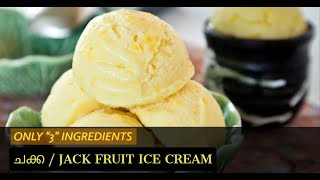 CHAKKA ICE CERAM || JACK FRUIT ICE CREAM