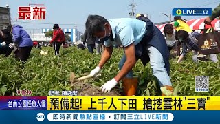 自己的食材自己採收! 雲林「三寶」節慶同時登場 吸引上千人前來下田狂挖 民眾滿載而歸超開心│記者 陳逸潔│【LIVE大現場】20230305│三立新聞台