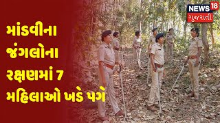 Surat | માંડવીના જંગલોના રક્ષણમાં 7 મહિલાઓ ખડે પગે | News18 Gujarati