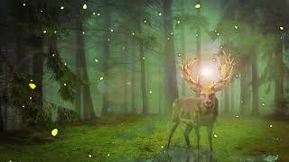Relaxing Celtic Music – Forest Crown  - Soothing Relaxation 1 hour