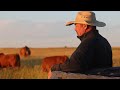 bieber red angus ranch breeding philosophy