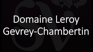 Best Gevrey-Chambertin Wines? Famous Wineries \u0026 Producers